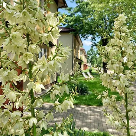 L26 Lopuszanska Holiday park