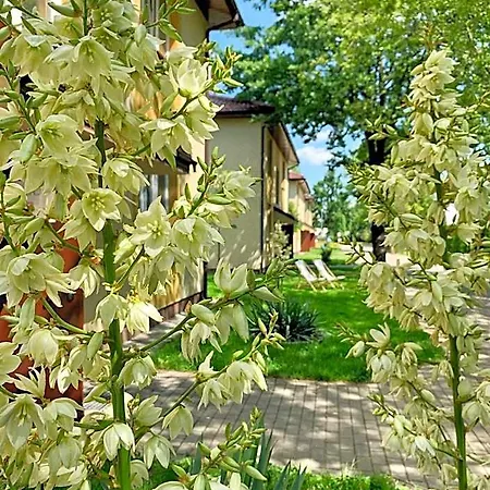 L26 Lopuszanska